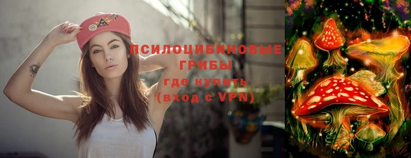 таблы Инта