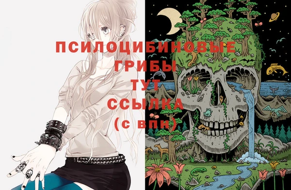 таблы Инта